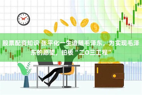 股票配资知识 张平化一生追随毛泽东，为实现毛泽东的愿望，拍板“二O三工程”
