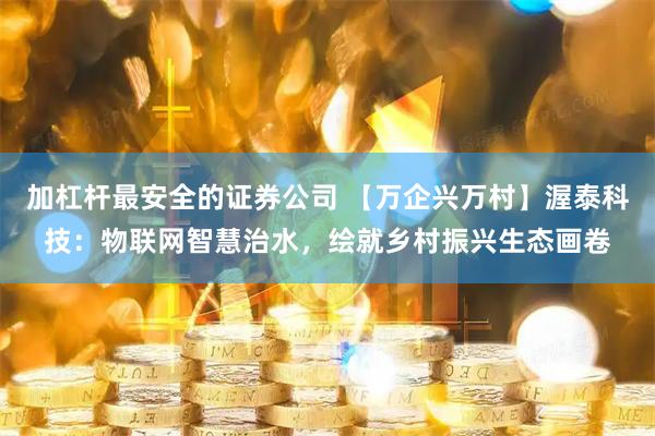 加杠杆最安全的证券公司 【万企兴万村】渥泰科技：物联网智慧治水，绘就乡村振兴生态画卷
